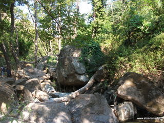 ldaia del Drago19-07-2015 09-20-04